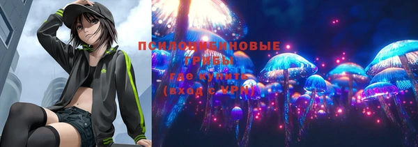 твердый Магас
