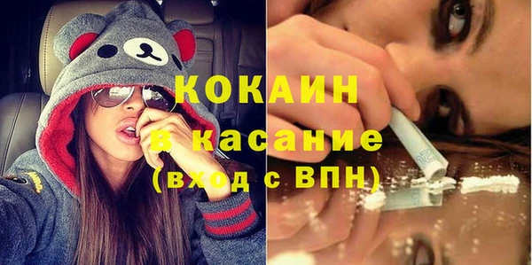 твердый Магас