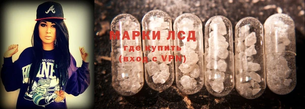 твердый Магас