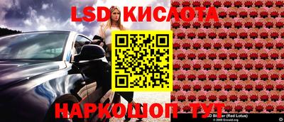 стаф Будённовск