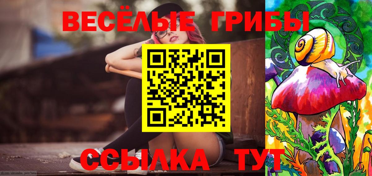 Галлюциногенные грибы мицелий  Псилоцибиновые грибы GOLDEN TEACHER  где можно купить   Черняховск 