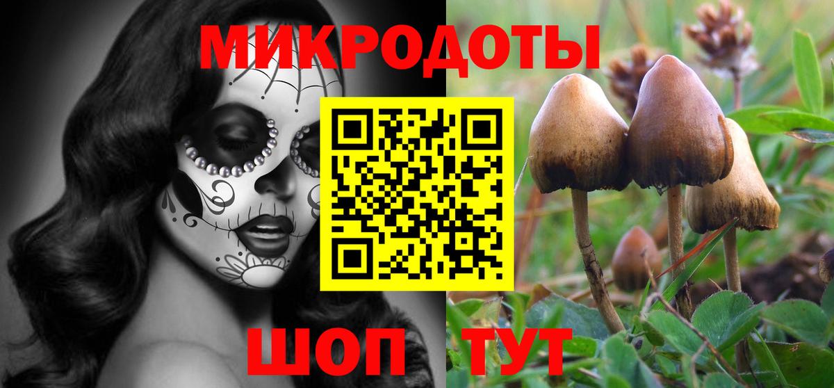 Галлюциногенные грибы прущие грибы  Псилоцибиновые грибы MAGIC MUSHROOMS  Черняховск  Вход с VPN 
